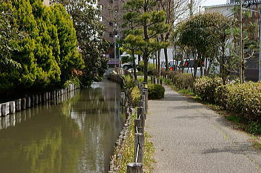 水辺の散策路