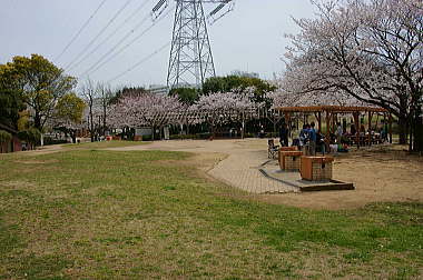 富士公園デイキャンプ場