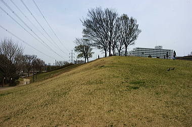 江戸川富士