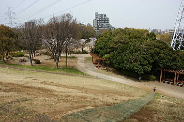 山頂からの眺め