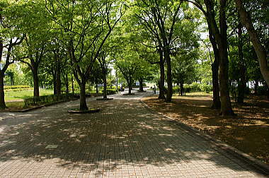 手賀沼公園