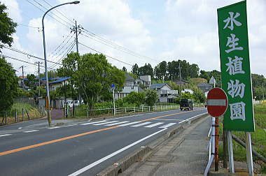 横断歩道を渡る