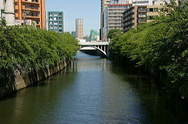 目黒川と目黒新橋