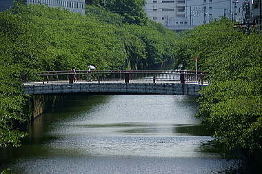 太鼓橋を望む