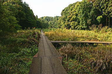 湧水・湿原・斜面林