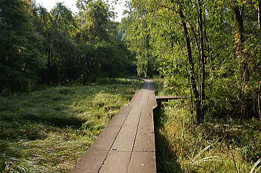 湿原の歩行路