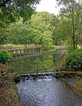 水生植物園