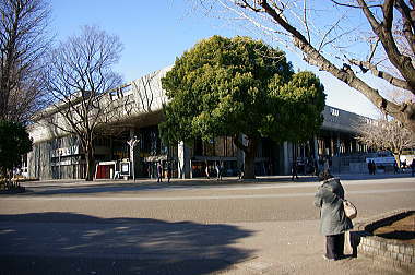 東京文化会館