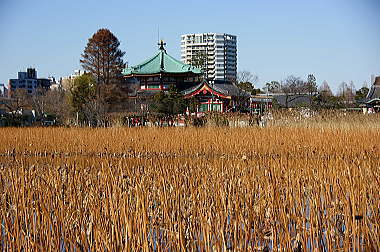 不忍池と弁天堂