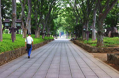 氷川参道を進む