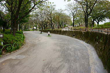 隅田公園を進む