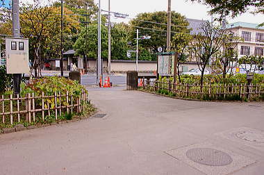 隅田公園を外れて