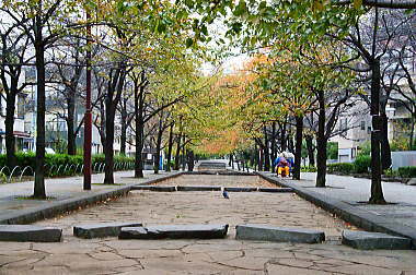 運河を埋め立てた山谷堀公園