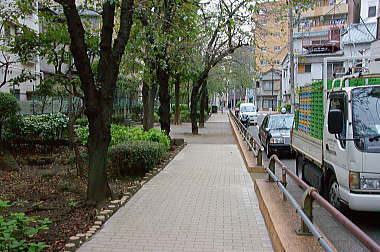 まだまだ続く山谷堀公園