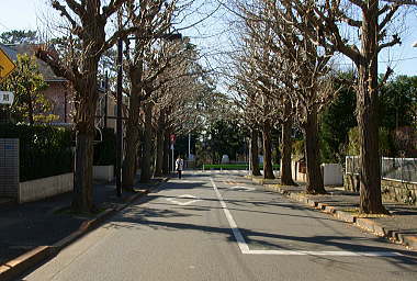 正面に公園がありました