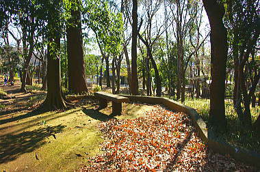 住宅地と一体になった公園