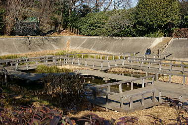 水生植物園