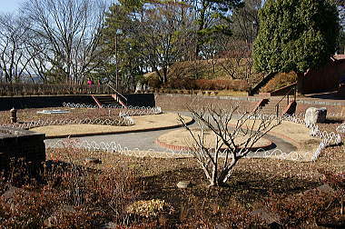 四季の野草園