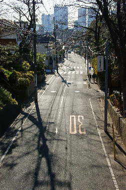 桜橋からの眺め