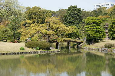 田鶴橋