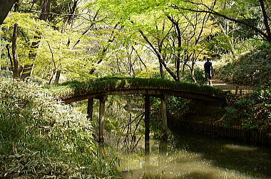 山陰橋