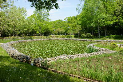 水生植物園