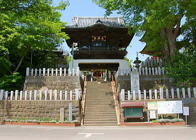 東海寺 桜門