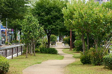 曳舟川親水公園