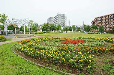 大きな花壇もあります