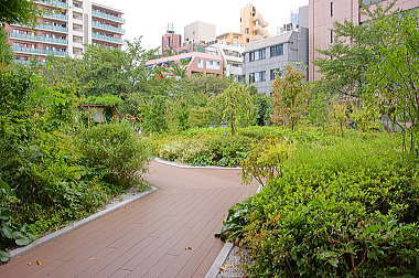 屋上庭園