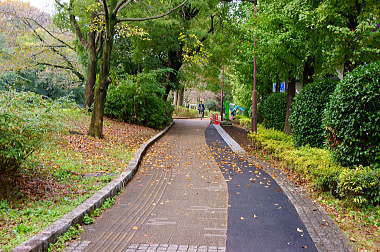 公園の遊歩道のよう