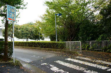 ミニミニ横断歩道