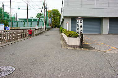 東京大仏に到着