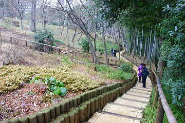 起伏に富んだ庭園