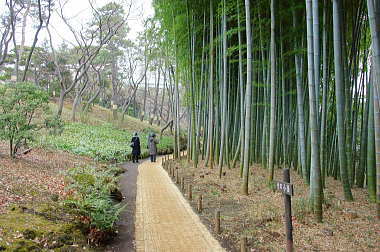 孟宗竹の小道