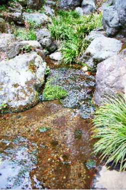 次郎弁天池の源流