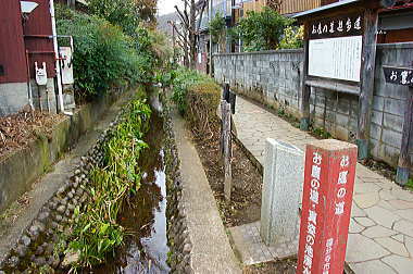 お鷹の道