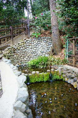 ハケの湧水