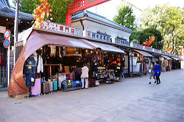 色んな店が集まってます