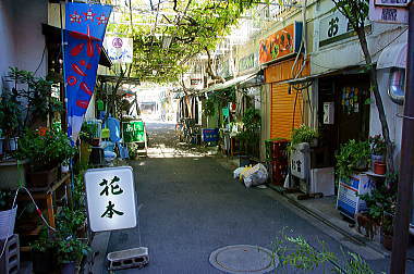 初音小路