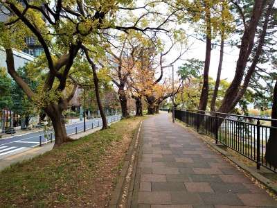 公園歩きのスタートです