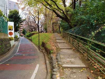 静かな散歩道を歩く