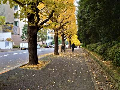 紀尾井坂を下る