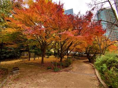 清水谷公園