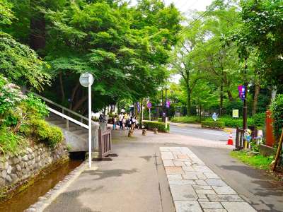 深大寺通りへ合流