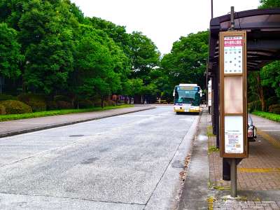 神代植物公園前バス停