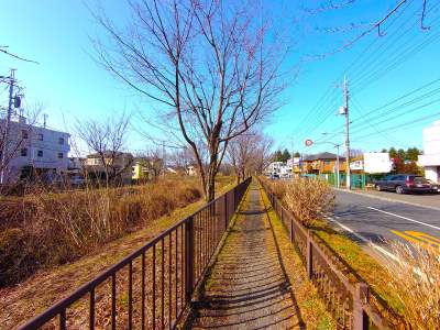 遊歩道を進む