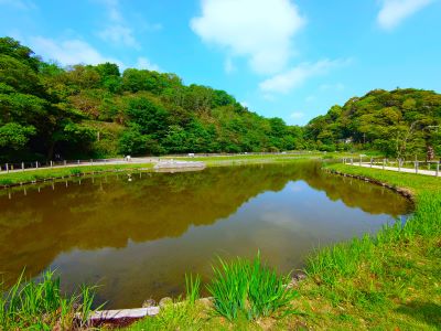 池の畔の散策コース