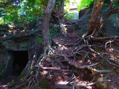 鷲峰山の山頂へ