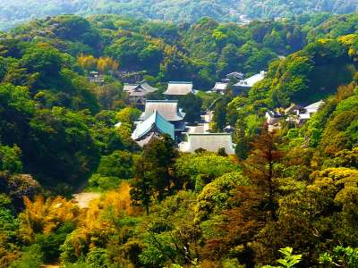 建長寺境内が一望できます